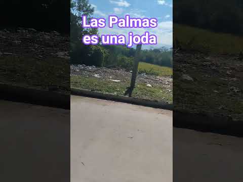 Las Palmas Chaco #Eltabanochaco