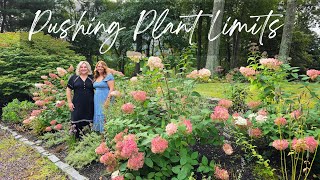 Tour A Beautiful Suburban Garden That Has Mostly Shade!