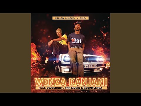 Mellow & Sleazy, Chley - Wenza Kanjani (Official Audio) ft. 2woshort, TNK MusiQ & Boontle RSA