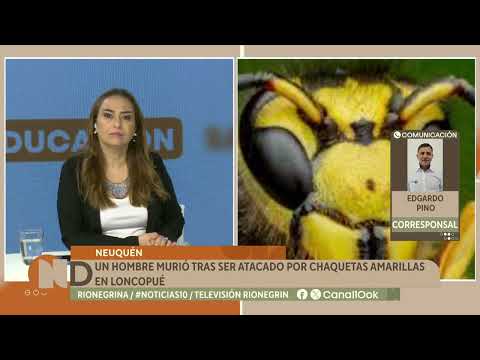 Murió tras ser atacado por un enjambre de chaquetas amarillas mientras trabajaba cortando leña