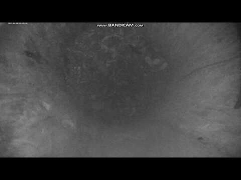 2019 03 08 EST Tawny Owl - Male & female Owl calling at 5:09