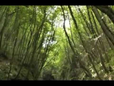 ONDA TG 2.08.2012 - PARCO MAJELLA LAVORI SENTIERI