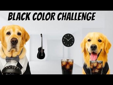 leo or reo kar rahe hai ⚫ black colour challenge for 24 hours #youtube #funny #challenge #viralvideo