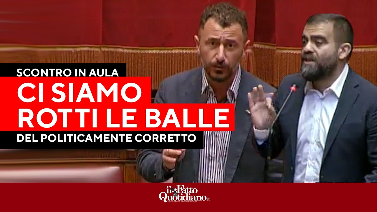 "Razzisti", "Del politicamente corretto ci siamo rotti le balle", scontro con i vannacciani