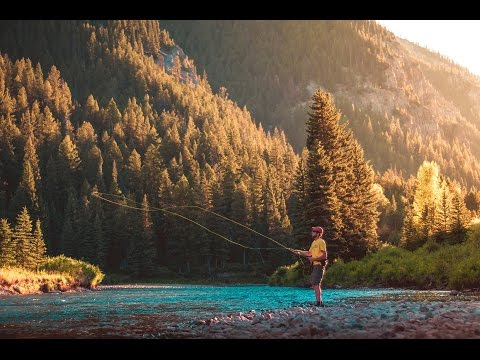 CDC Dry Fly Midge - Tied on size 26 hook!