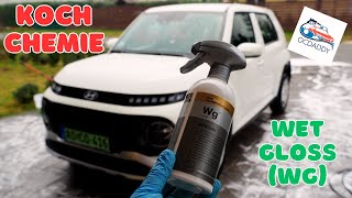 Koch Chemie Wet Gloss (WG) test - EN