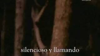 Borknagar - Future Reminiscence (subtitulado en español)