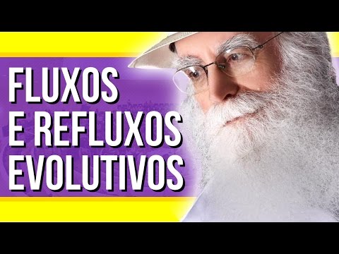 Waldo Vieira - Evolução: Fluxos E Refluxos Na Sua Evolução | #Conscienciologia