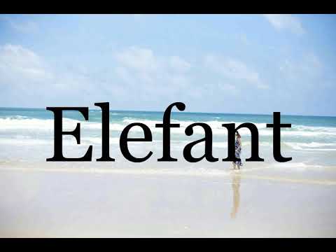 How To Pronounce Elefant🌈🌈🌈🌈🌈🌈Pronunciation Of Elefant