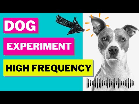 Sound Only Dogs Can Hear - Dog Whistle