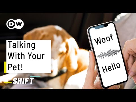How A.I. Will Let You Talk With Your Pet!