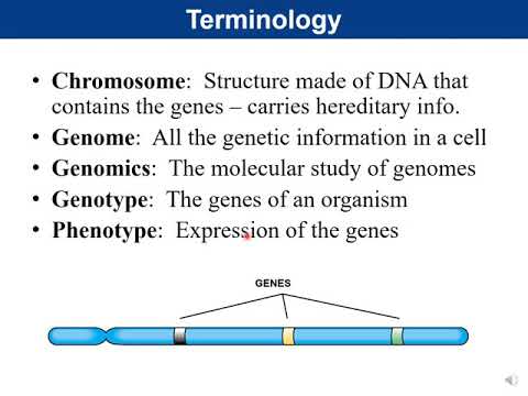 Chapter 8  Microbial Genetics Part 1