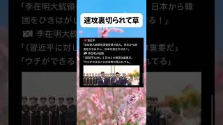 #高市早苗 #自民党 #税金 #政治