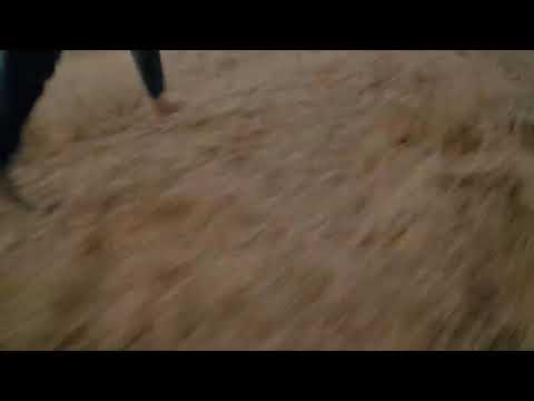 COPA FUNDACIÓN LA CAJA DE CANARIAS | CLUB LUCHA RAMÓN JIMÉNEZ - CASTRO MORALES