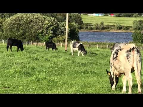 East Ardsley Reservoir-Yorkshire Water U.K.