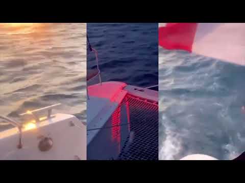 image video : La croisière s'amuse 2