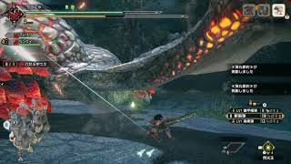MHRISE ぐだぐだバゼル