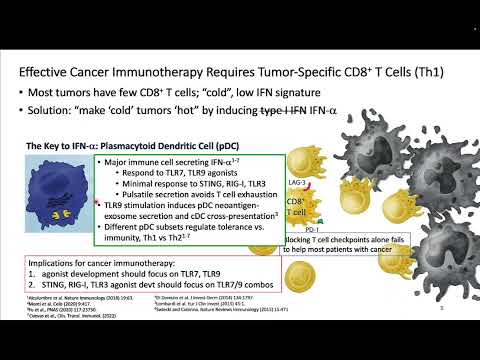 Optimizing innate immune stimulation for cancer immunotherapy - IFN-a, IFn-b, TLR7/9 and pDC