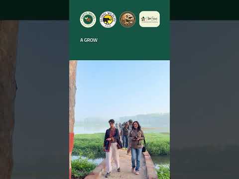 Surajpur Wetlands Birdwalk | Uttar Pradesh Earth Walks