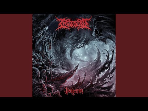 Merciless Reflection (feat. PeelingFlesh)