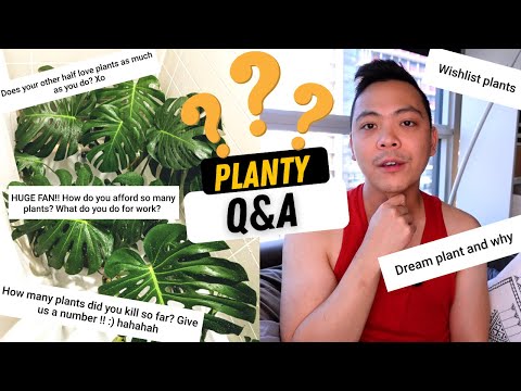 how many plants have I killed...my bf hates my plants 🤣 Q&A - plant questions 💚