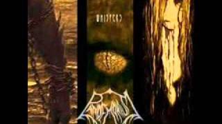 Pandemonium- Behind The Mask