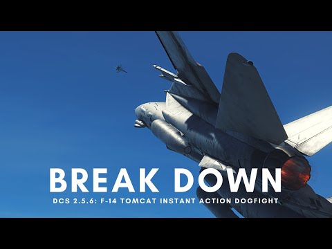 DCS 2.5.6: Breaking Down the Tomcat's Dogfight Instant Action Mission