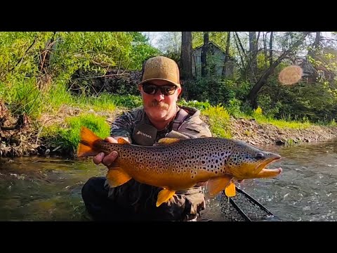 Big Wild Brown Trout Fishing In Southeastern PA (2023) #Letort #Yellowbreeches #fishing