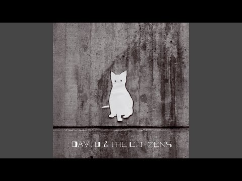 Absent Mind - David And The Citizens