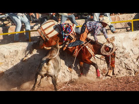LA JUGADA DEL REY QUE DEJO EN SILENCIO CORRAL DE PIEDRA 😰😰‼️🚨