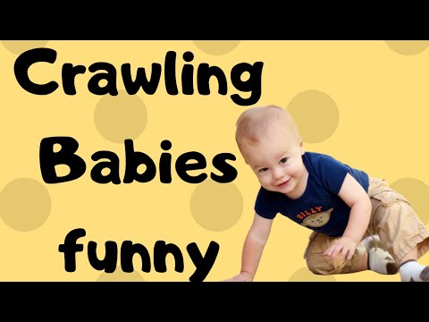 Fun Crawling In The City Al