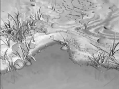 A Bug's Life - Let My People Go (The Plagues)