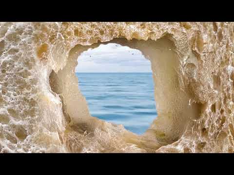 Video thumbnail for Come il pane