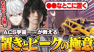 葛葉にプリエイムとオフアングルの極意を教えるMeiy【VALORANT/バロラント】