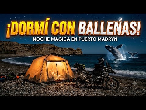 Dormí en una Playa con ballenas 🐋🐳 - El Doradillo Puerto Madryn 