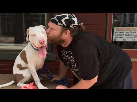 When your dog is like a sibling -  Funny and Cute Dogs and Owners