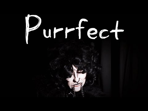 PURRFECT