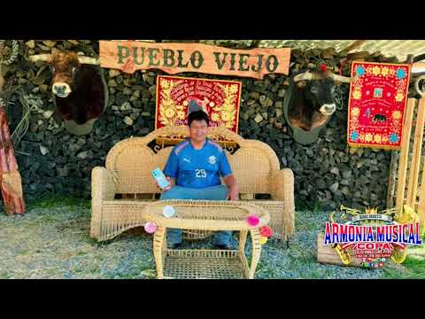 Banda Armonía Musical Copa Cajatambo - EN RECUAY ANCASH PERÚ 