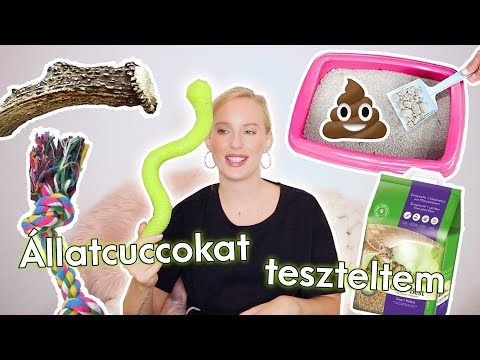 milyen tablettákat isznak az erekció javítása érdekében hiányos erekció okozza