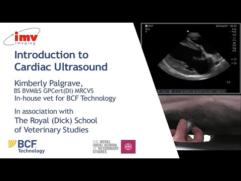 IMV imaging cardiac ultrasound video 1 - Introduction to performing an echo