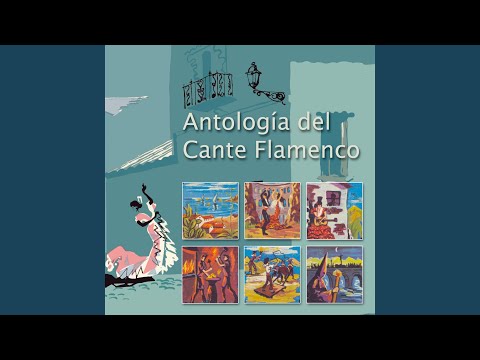Tango De Los Tontos - Pericón de Cádiz