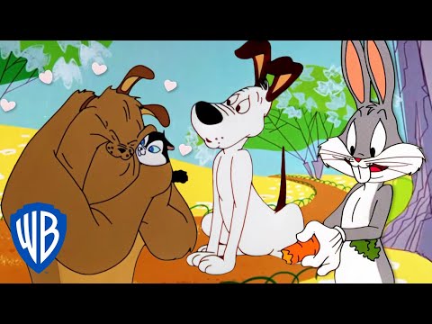 Looney Tuesdays | Looney Dogs ???? | Looney Tunes | @WB Kids