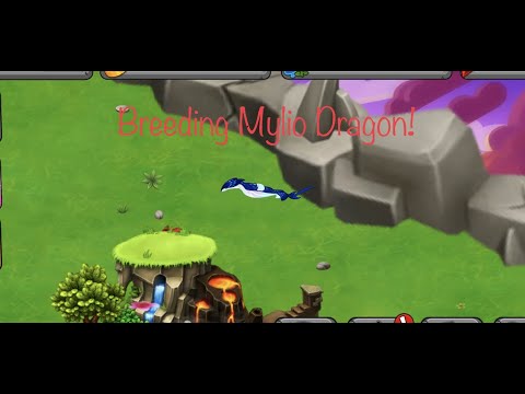 Breeding the Mylio Dragon Dragonvale