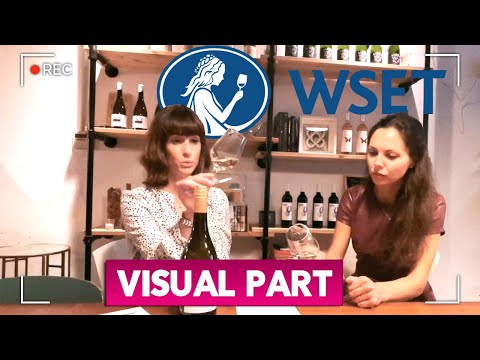 WSET Level 3 Visual Part | Wine Sapiens