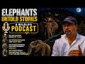 Wild Elephants Mystries ! Why Dead Elephants Are Rarely Seen in Jungles?  Vivek Awasthi Podcast ! DEFAULT Thumbnail