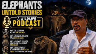 Wild Elephants Mystries ! Why Dead Elephants Are Rarely Seen in Jungles?  Vivek Awasthi Podcast ! MQDEFAULT Thumbnail