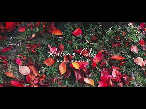 奈良ホテルのAutumn Color