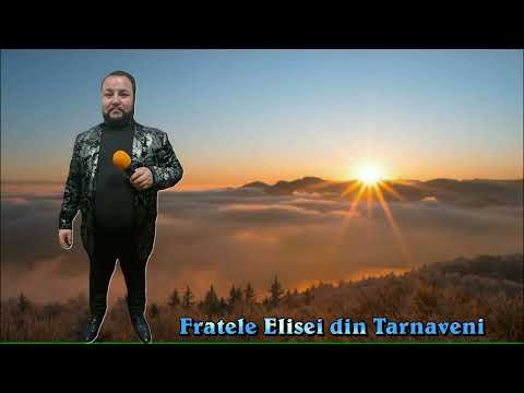 FRATELE ELISEI DIN TARNAVENI -  DOAMNE ESTI A MEA IUBIRE ( cover )