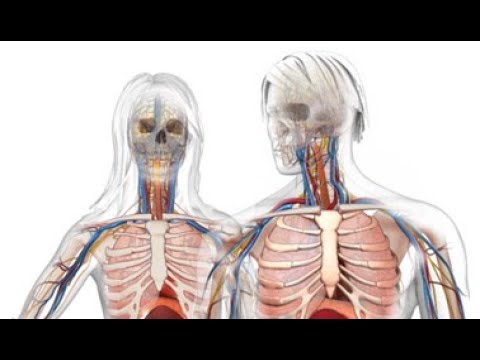 VRTO 2017 - Virtual Reality in Education - Jeremy Friedberg, Spongelab Interactive