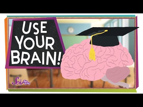 Use Your Brain!